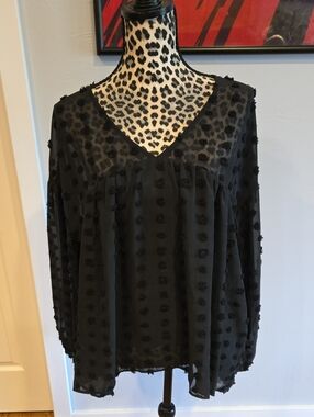 Semi Sheer Polka Dot Blouse